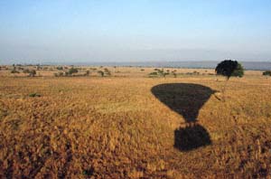Schatten des Heiluftballons auf der Steppe. Luftaufnahme aus Heiluftballon "Twiga", Lemek Group Ranch (Masai Mara), Kenia. / Shadow of the hot-air balloon on the savannah. Aerial view from hot-air balloon "Twiga", Lemek Group Ranch (Masai Mara), Kenya. / (c) Walter Mitch Podszuck (Bwana Mitch) - #980904-056