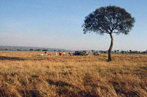 Landeplatz des Heiluftballons "Twiga" in der Steppe. Lemek Group Ranch (Masai Mara), Kenia. / Landing site of hot-air balloon "Twiga" in the savannah. Lemek Group Ranch (Masai Mara), Kenya. / (c) Walter Mitch Podszuck (Bwana Mitch) - #980904-069